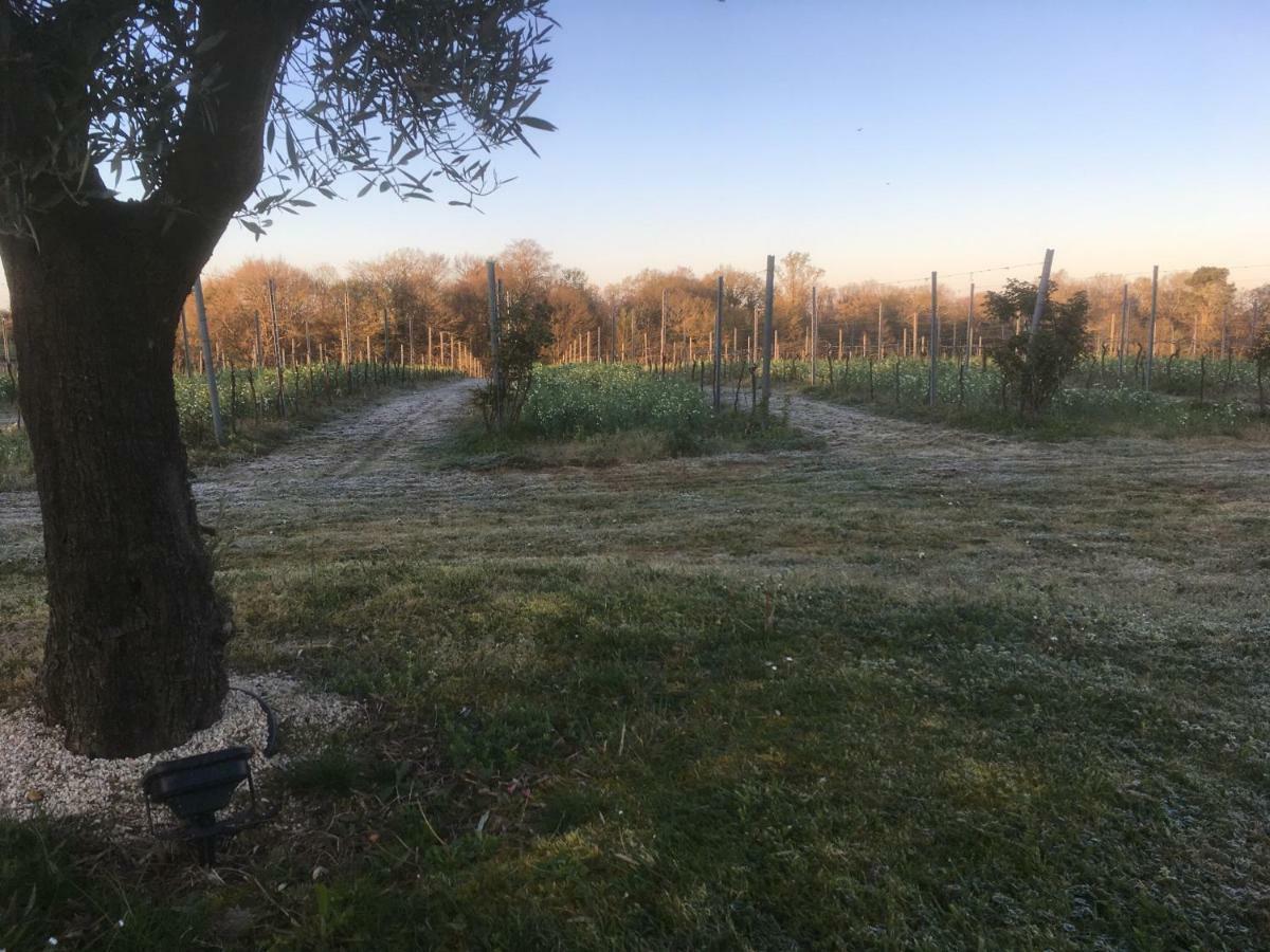 Gite Les Vignes Cravenceres Exterior photo
